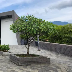 La Casa de la Memoria - Medellin