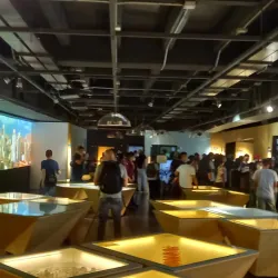 La Casa de la Memoria - Medellin