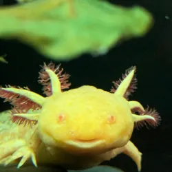 Parque Explora - Medellin