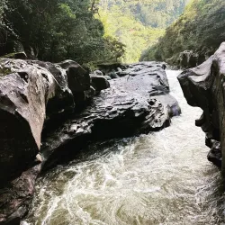 Magdalena River - Neiva