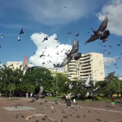 Plaza Cívica - Neiva
