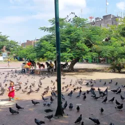 Plaza Cívica - Neiva