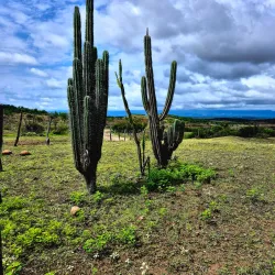 Tatacoa Desert - Neiva
