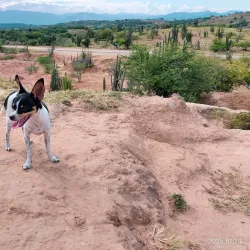 Tatacoa Desert - Neiva