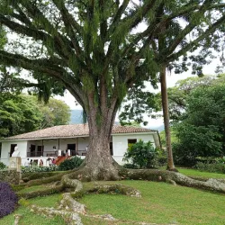 Hacienda El Paraíso - Palmira