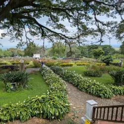 Hacienda El Paraíso - Palmira