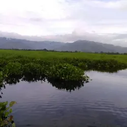 Laguna de Sonso - Palmira