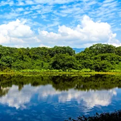 Laguna de Sonso - Palmira