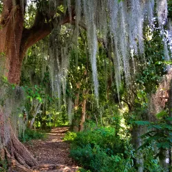 Laguna de Sonso - Palmira