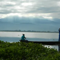 Laguna de Sonso - Palmira