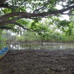 Laguna de Sonso - Palmira