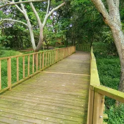 Laguna de Sonso - Palmira