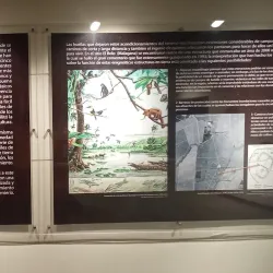 Museo Arqueológico de Palmira - Palmira