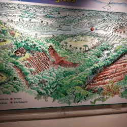 Museo Arqueológico de Palmira - Palmira