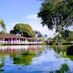 Parque de la Caña - Palmira