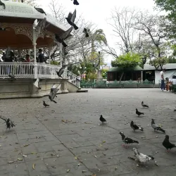 Parque de la Marimba - Palmira