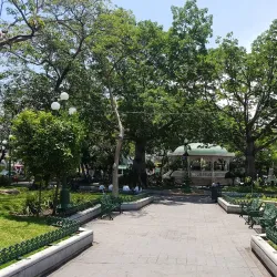 Parque de la Marimba - Palmira
