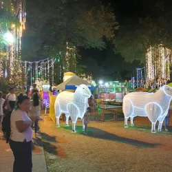 Parque de la Música - Palmira