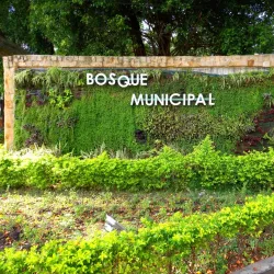 Parque de la Música - Palmira