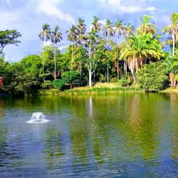 Parque de la Música - Palmira