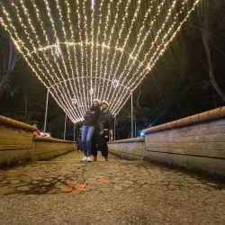 Parque de la Música - Palmira