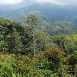 Parque Natural Regional Farallones de Cali - Palmira