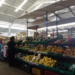 Plaza de Mercado de Palmira - Palmira