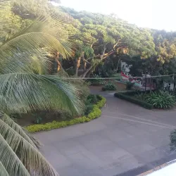 Universidad Nacional de Colombia - Palmira Campus - Palmira