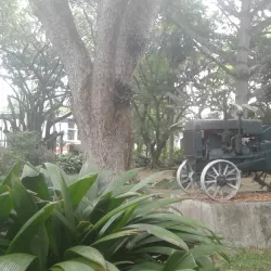 Universidad Nacional de Colombia - Palmira Campus - Palmira