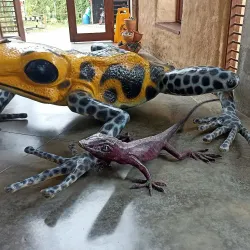 Botanical Garden of Pereira - Pereira