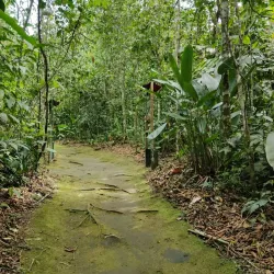Botanical Garden of Pereira - Pereira