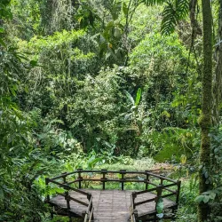 Botanical Garden of Pereira - Pereira