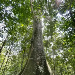 Botanical Garden of Pereira - Pereira