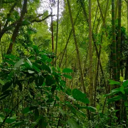 Botanical Garden of Pereira - Pereira
