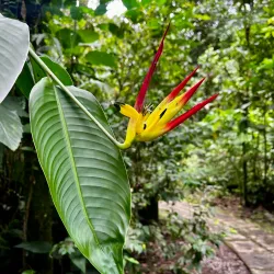 Botanical Garden of Pereira - Pereira