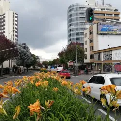 Coffee Cultural Landscape - Pereira