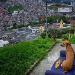 Coffee Cultural Landscape - Pereira