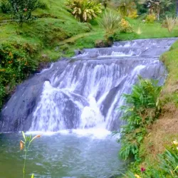 Coffee Cultural Landscape - Pereira