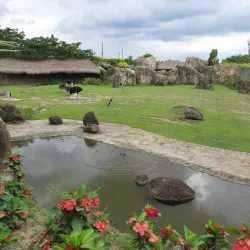 Matecaña City Zoo - Pereira