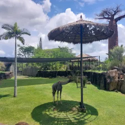 Matecaña City Zoo - Pereira