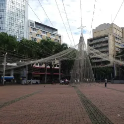 Plaza de Bolívar - Pereira