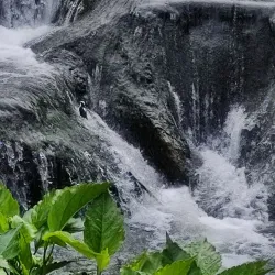 Thermal Springs of Santa Rosa de Cabal - Pereira
