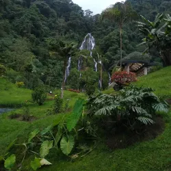 Thermal Springs of Santa Rosa de Cabal - Pereira