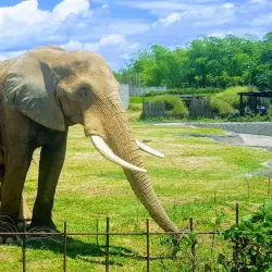 Ukumari Biopark - Pereira