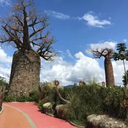 Ukumari Biopark - Pereira