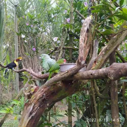 Ukumari Biopark - Pereira