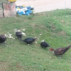 Mirador de La Virgen - Rionegro