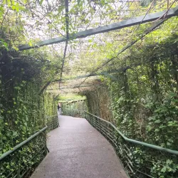 Parque Natural Arví - Rionegro