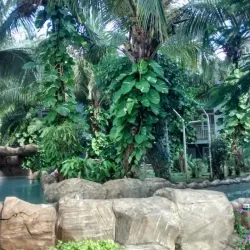 El Cove - San Andres