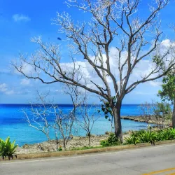 El Cove - San Andres